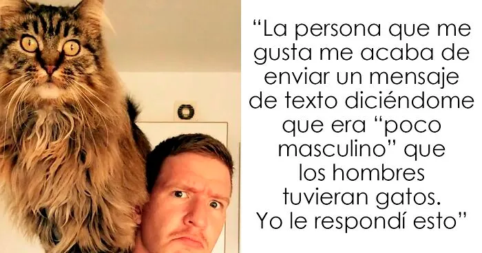 35 Divertidísimas fotos de gatos encontradas en internet (nuevas imágenes)