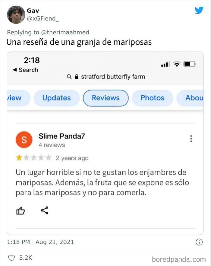 El drama en las reseñas de Google es absolutamente insuperable": En este hilo comparten las reseñas más salvajes