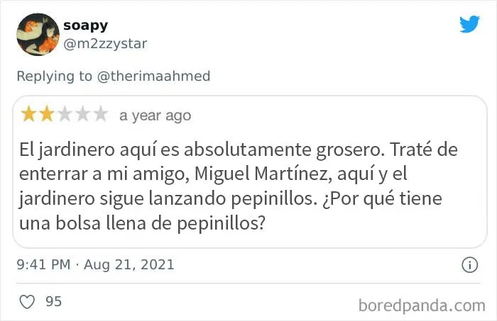 El drama en las reseñas de Google es absolutamente insuperable": En este hilo comparten las reseñas más salvajes