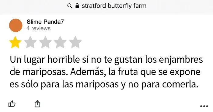 El drama en las reseñas de Google es absolutamente insuperable": En este hilo comparten las reseñas más salvajes