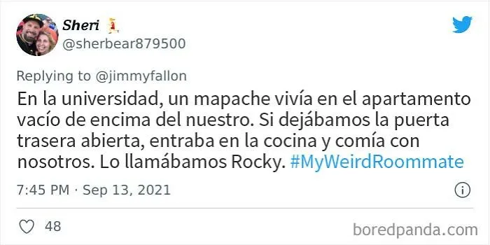 20 Historias extrañas y vergonzosas de compañeros de piso compartidas en el reto de Jimmy Fallon