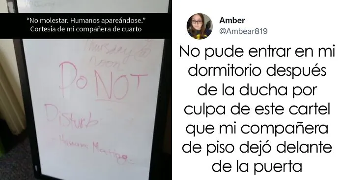 20 Historias extrañas y vergonzosas de compañeros de piso compartidas en el reto de Jimmy Fallon