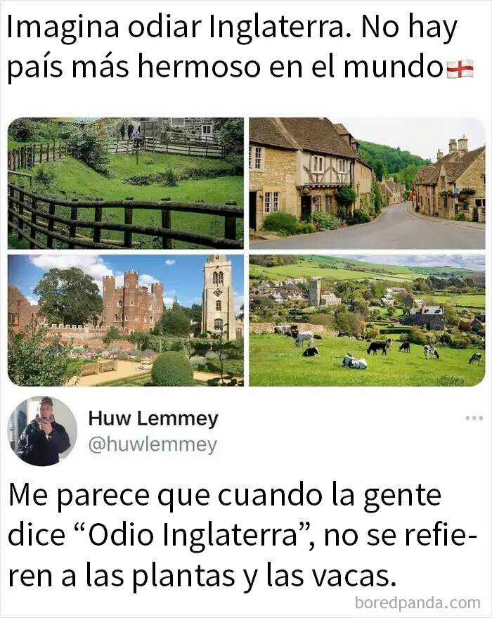 Las vacas son bonitas