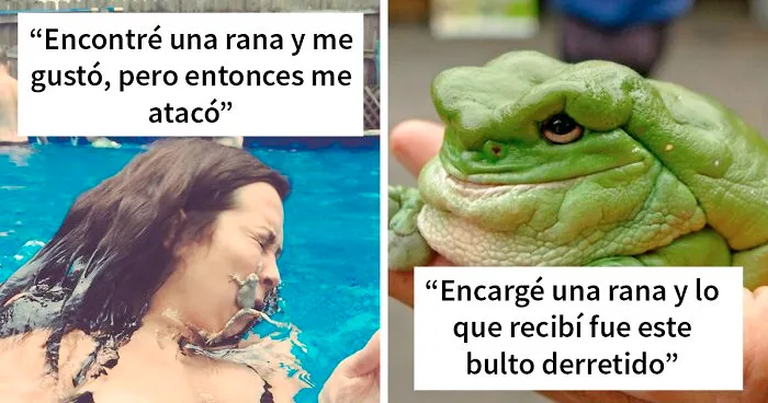 45 Fotos de ranas tan graciosas como adorables para alegrarte el día