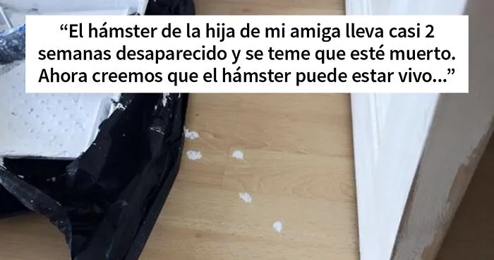 Los padres de Twitter siguen subiendo el listón de la comedia, y aquí están 20 de sus tuits más divertidos de este agosto