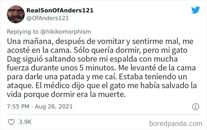 20 Personas comparten hechos obscuros de sus vidas que dejaron a los demás alucinados