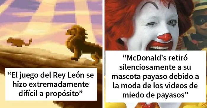 «Hoy aprendí»: 25 Datos que demuestran que nunca es tarde para aprender (nuevas fotos)