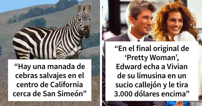 «Hoy aprendí»: 25 Datos que demuestran que nunca es tarde para aprender (nuevas imágenes)