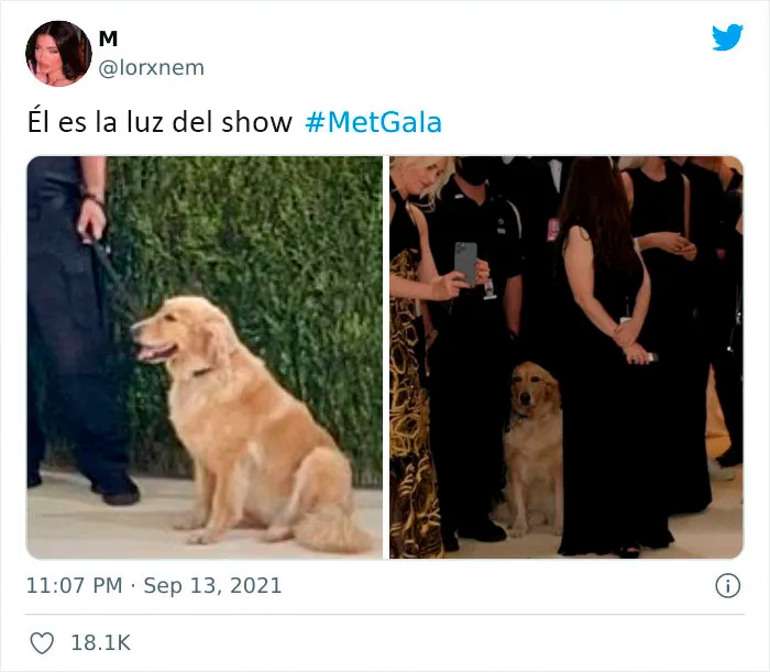 15 Divertidísimas reacciones de Twitter sobre la Gala Met de 2021