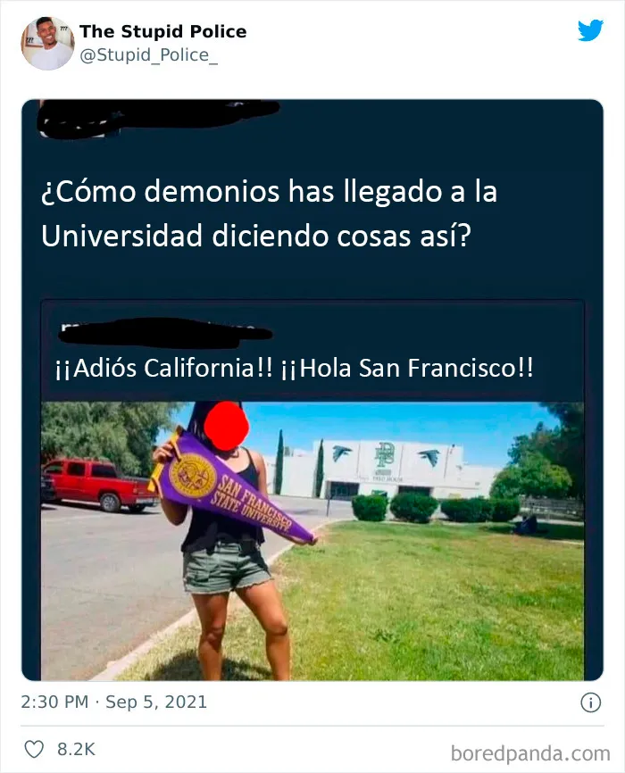 "The Stupid Police": Esta página comparte los momentos más tontos de la gente en Internet (20 fotos)