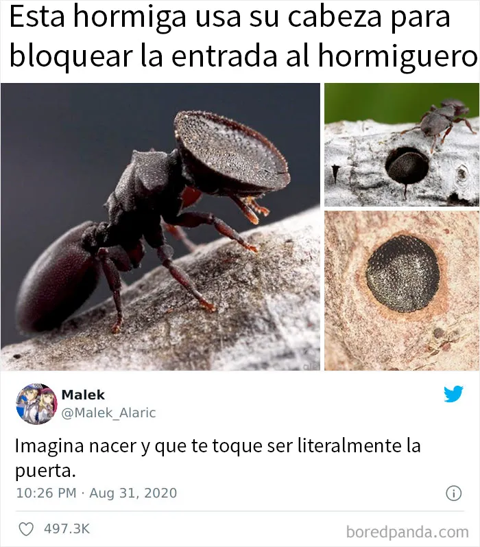 Esta página comparte terribles memes y bromas sobre ciencia, y aquí tienes 20 de los peores