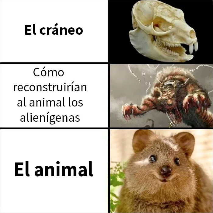 Esta página comparte terribles memes y bromas sobre ciencia, y aquí tienes 20 de los peores