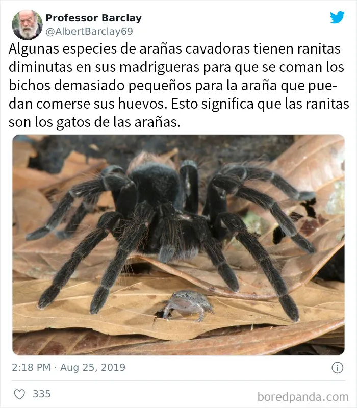 Esta página comparte terribles memes y bromas sobre ciencia, y aquí tienes 20 de los peores