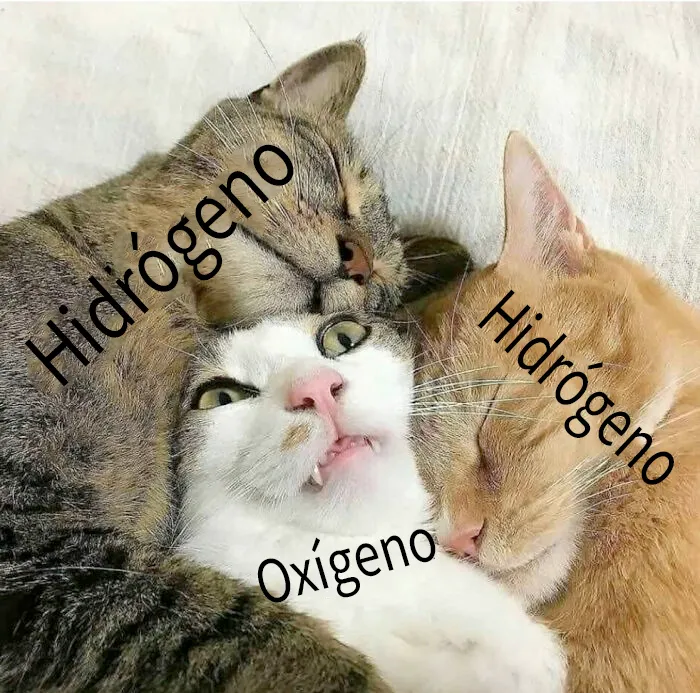 Esta página comparte terribles memes y bromas sobre ciencia, y aquí tienes 20 de los peores