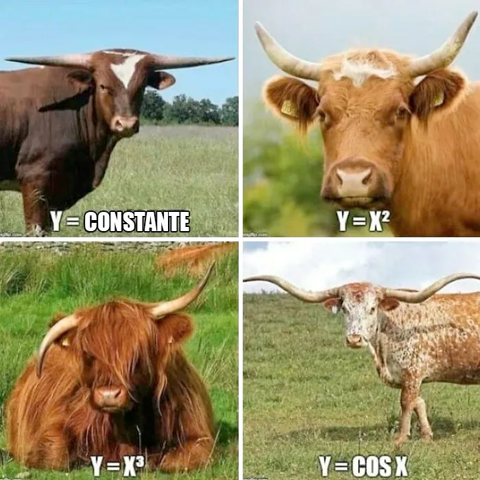 Esta página comparte terribles memes y bromas sobre ciencia, y aquí tienes 20 de los peores