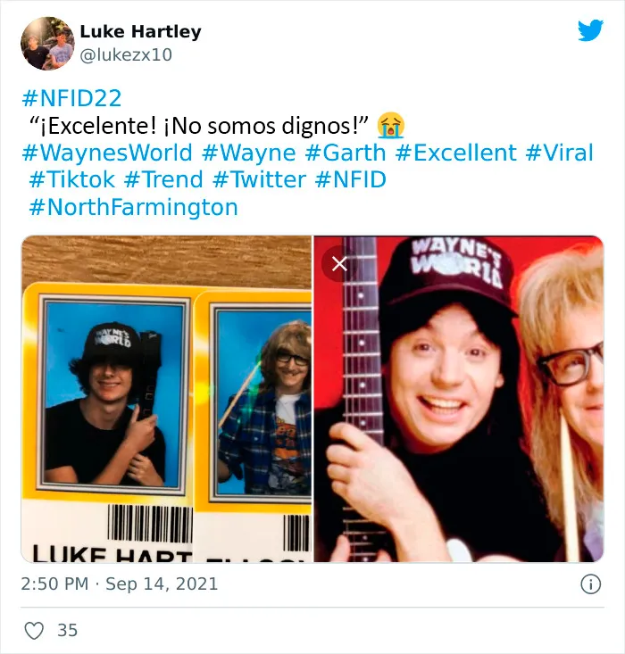 Este instituto permitió que los estudiantes de último año se disfrazaran en la foto de sus carnets, y no esperaban estos resultados (25 fotos nuevas)