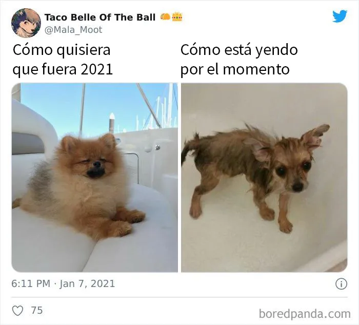 2021 ya está resultando decepcionante para algunos, y aquí tienes las 20 bromas más divertidas al respecto