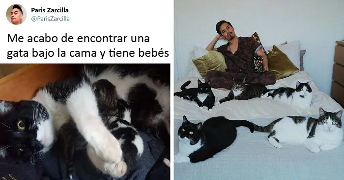 Este chico sin gatos encontró 5 de ellos en su cuarto, y ha publicado una actualización tras 2 años con su familia gatuna