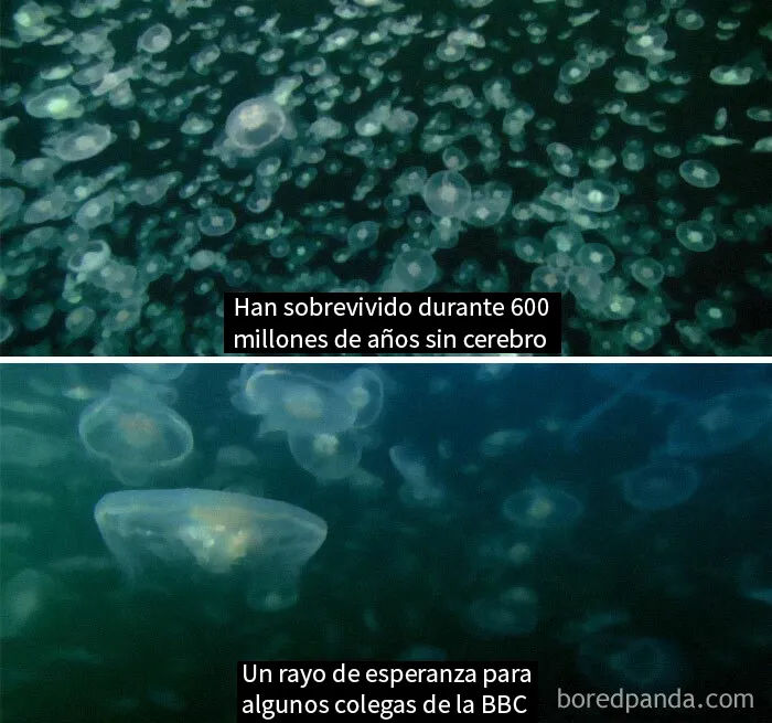 Documentales De La Naturaleza