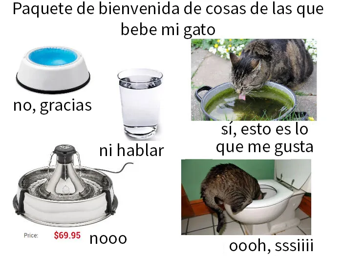 20 Divertidos memes del "Paquete de bienvenida" con los que la gente se ha reído mucho