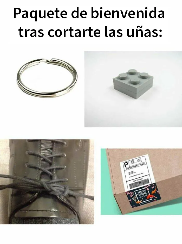 20 Divertidos memes del "Paquete de bienvenida" con los que la gente se ha reído mucho