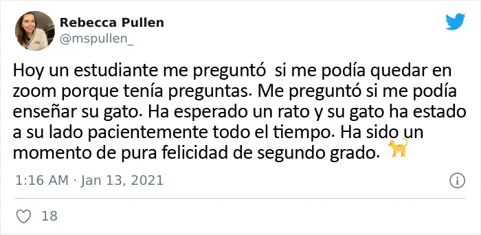 20 Estudiantes que hicieron reír a sus profesores con las preguntas más divertidas vía Zoom