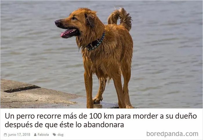Tuvo su merecido