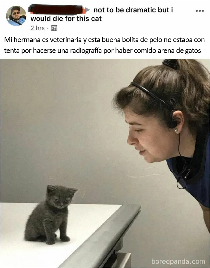 Molesto a pesar de que la culpa es suya