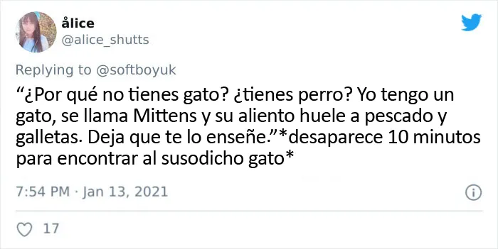 20 Estudiantes que hicieron reír a sus profesores con las preguntas más divertidas vía Zoom