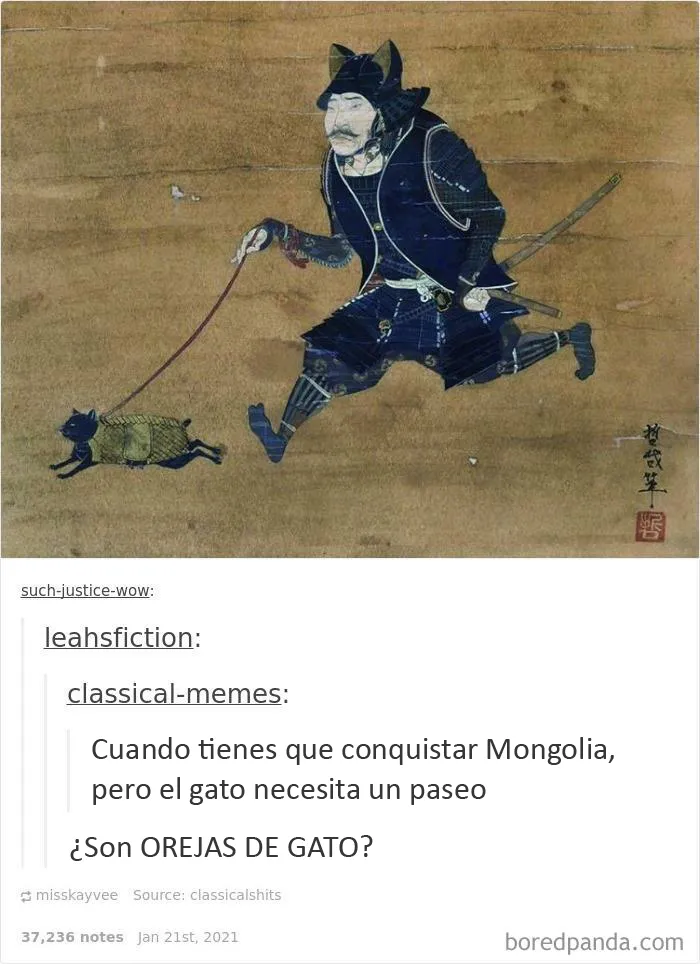 20 Memes de gatos creados claramente por gente que vive con ellos