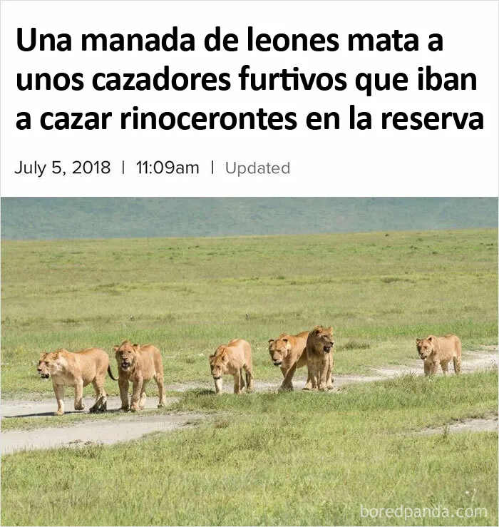 Recibieron su merecido