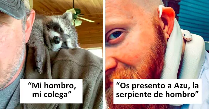 La Gente Está Publicando Sus Fotos De "Animales De Hombro", Y Estas Son 30 De Las Más Bonitas