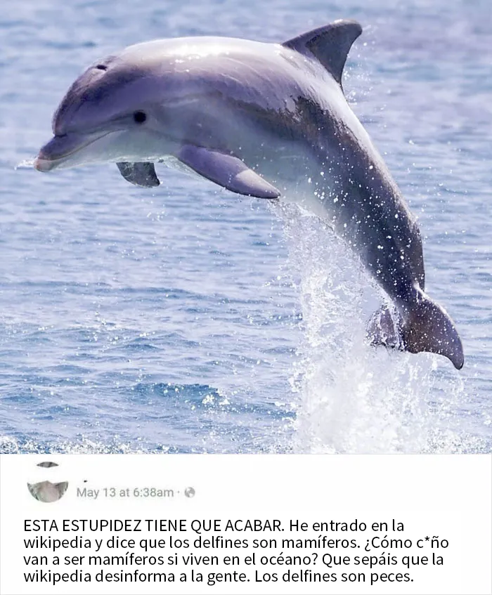 La Wikipedia Miente