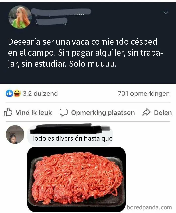 20 "Comentarios malditos" que había que compartir online