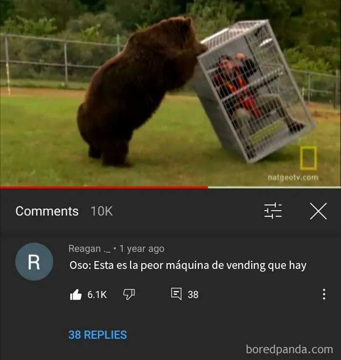 20 "Comentarios malditos" que había que compartir online