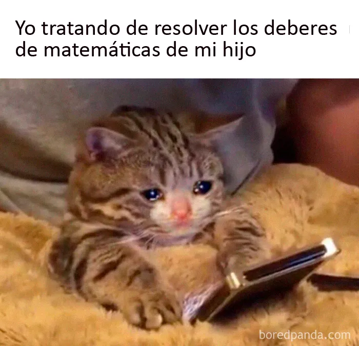20 Memes para padres que ya no aguantan más a sus hijos aprendiendo desde casa