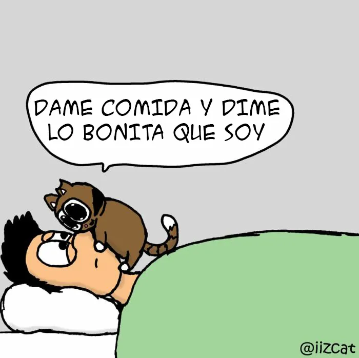 Este artista resume su vida con un gato en 20 cómics