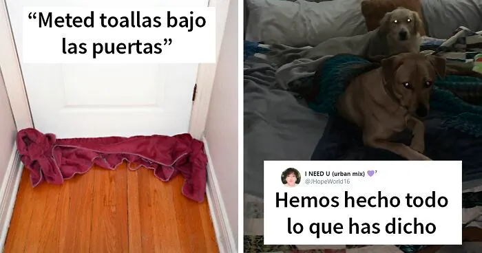 La gente de lugares con duros inviernos comparte consejos para los que se enfrentan en Texas a la situación actual