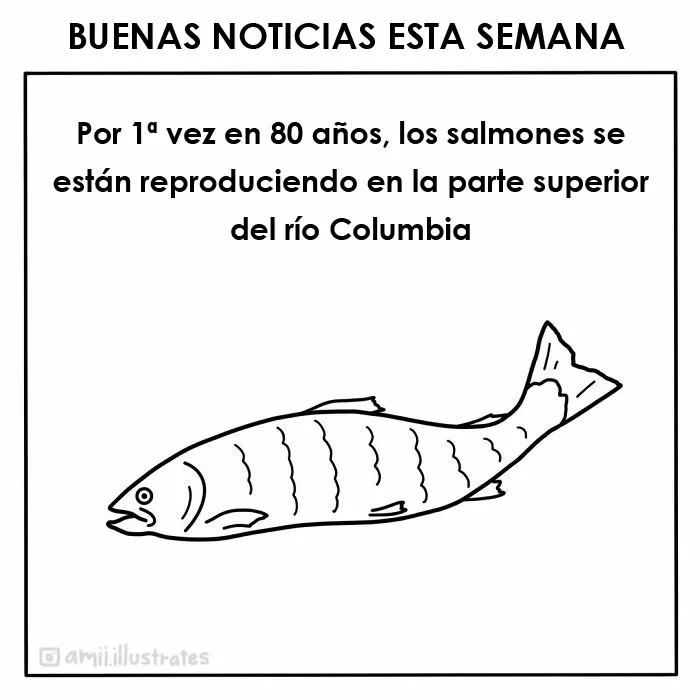 Esta artista ilustra "buenas noticias", y aquí tienes 20 que te alegrarán