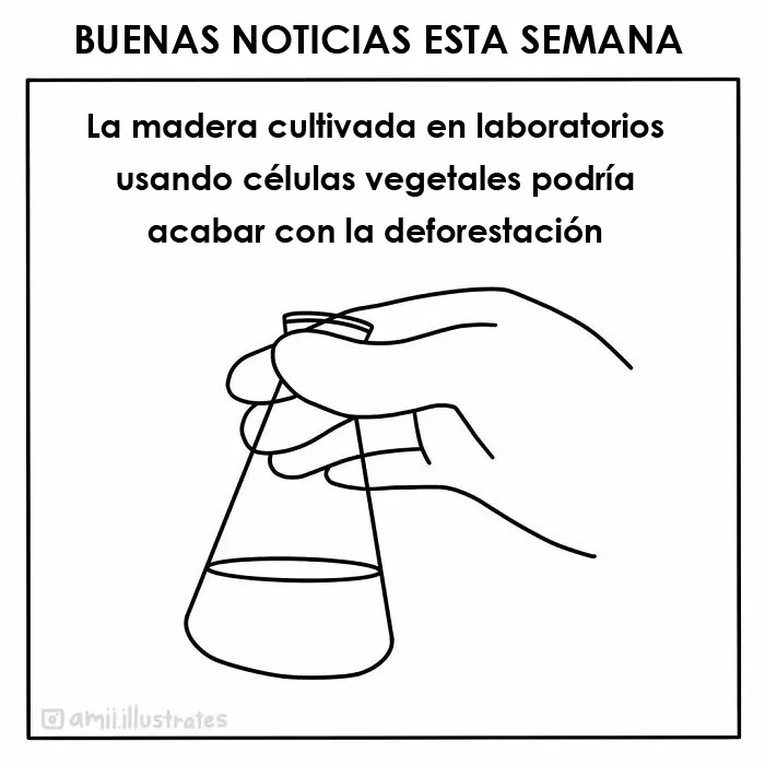 Esta artista ilustra "buenas noticias", y aquí tienes 20 que te alegrarán