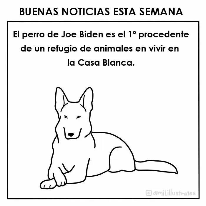 Esta artista ilustra "buenas noticias", y aquí tienes 20 que te alegrarán