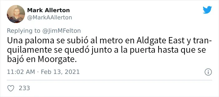 La gente comparte las cosas más extravagantes que han visto en el transporte público (20 tuits)