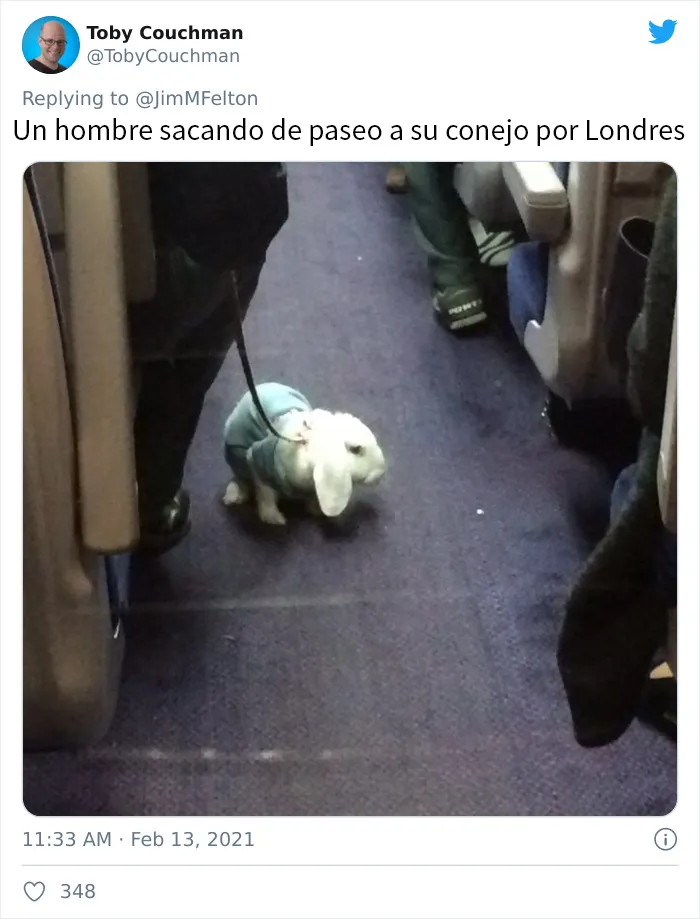 La gente comparte las cosas más extravagantes que han visto en el transporte público (20 tuits)
