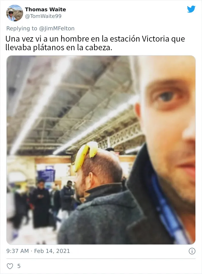 La gente comparte las cosas más extravagantes que han visto en el transporte público (20 tuits)