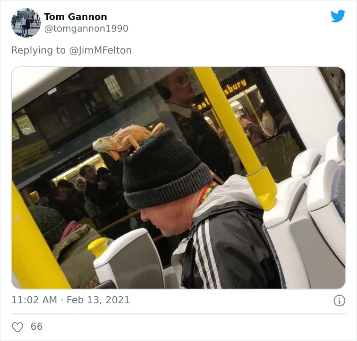La gente comparte las cosas más extravagantes que han visto en el transporte público (20 tuits)