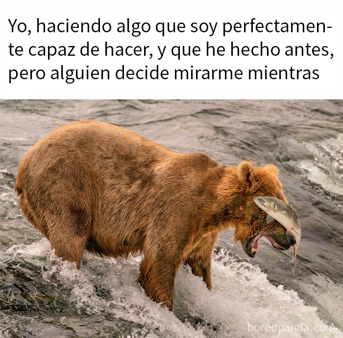 20 Divertidos memes con los que la mayoría de la gente se identificará