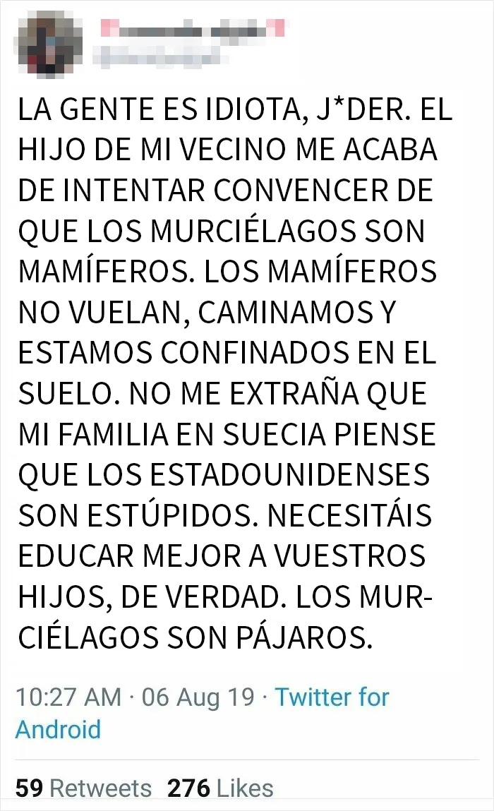 Los Murciélagos Son Aves