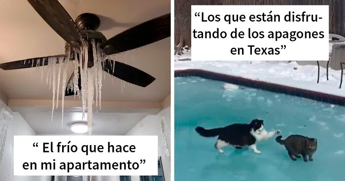 40 Fotos que muestran cómo se enfrenta Texas al clima más frío que han sufrido en más 30 años