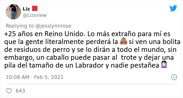 Esta estadounidense lleva 10 años viviendo en Reino Unido, y comparte las cosas que le "siguen pareciendo demasiado extrañas" (17 imágenes)
