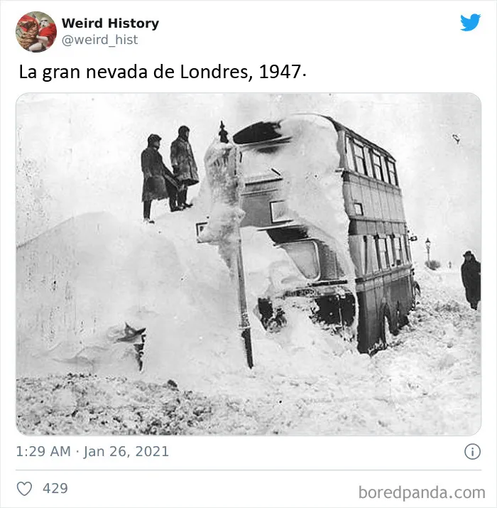La cuenta de ‘Weird History’ comparte cosas interesantes, divertidas y extrañas que han ocurrido en la Historia (nuevas imágenes)